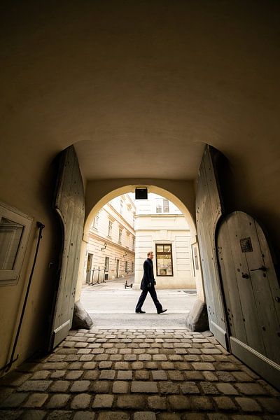 Afternoon walk in Vienna by Twan Thimister