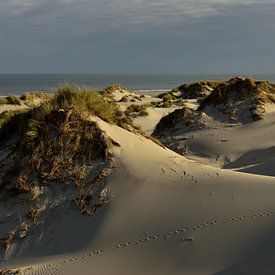 Paysage de dunes dans la lumière du matin sur Peter Slagboom