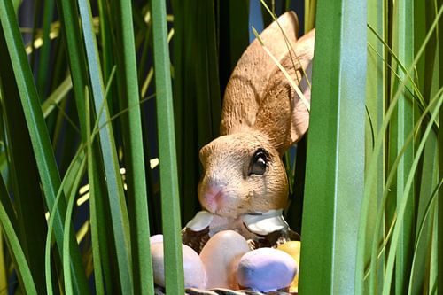 Hidden springtime joy