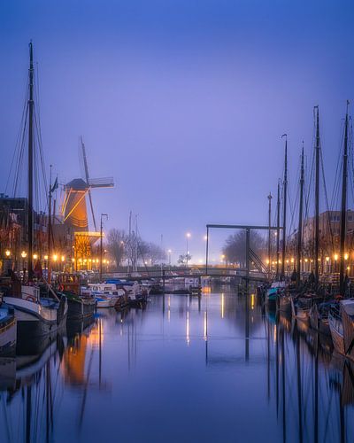 Le côté historique de Rotterdam