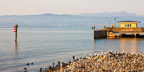 Langenargen aan de Bodensee