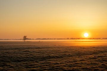 Brume matinale sur une prairie au lever du soleil sur Bram Lubbers