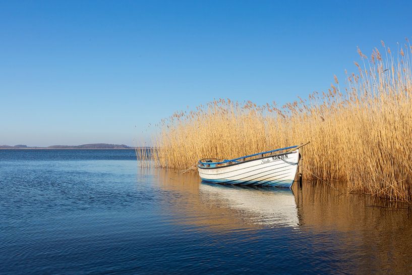 Rowing boat in the backwaters of Usedom by Sven-Erik Arndt