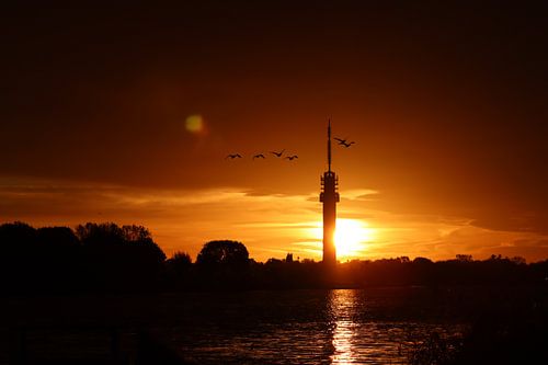 Een mooi begin van de dag