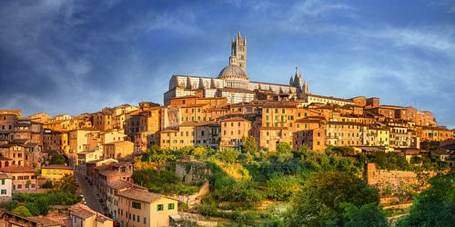 De kathedraal en de oude stad van Siena in Italië