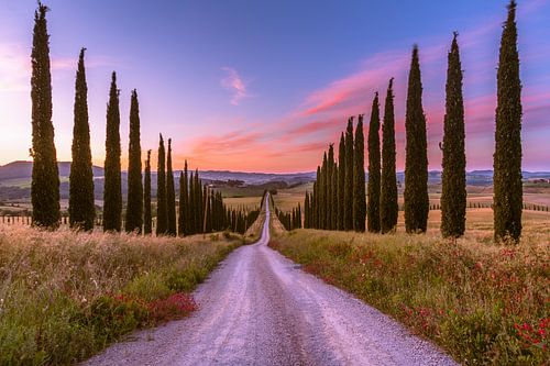 Zonsopgang op de Cypress Avenue