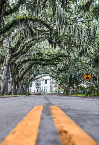 Einde van de straat van Sjoerd Van der Pluijm