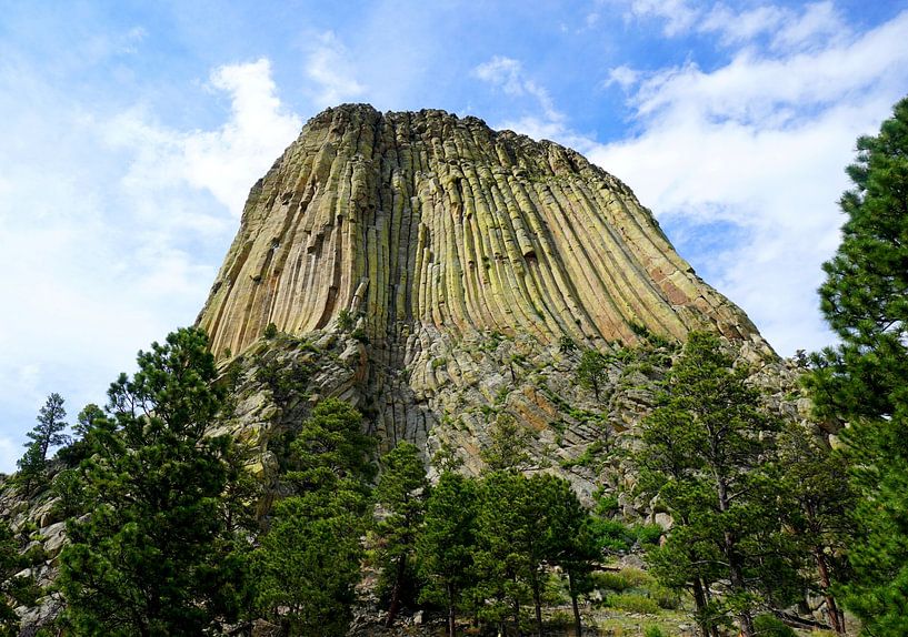 Devils Tower Nationaal Monument van Thomas Zacharias