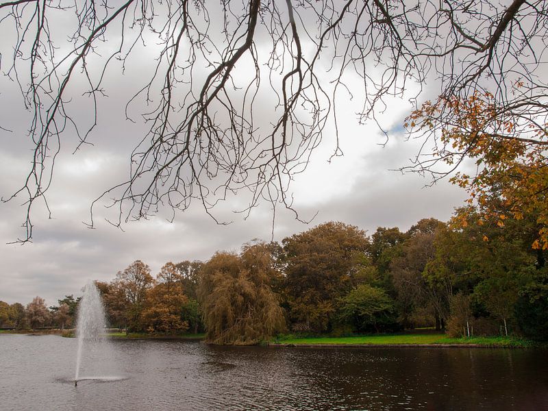 Vijver, Zuiderpark par Rinke Velds