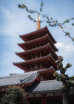 Rood gekleurde pagode in Japan van fromkevin