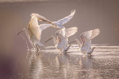 Ready for takeoff.....