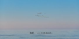 Het Wad bij Paesens Moddergat, Friesland, op een stille winterdag
