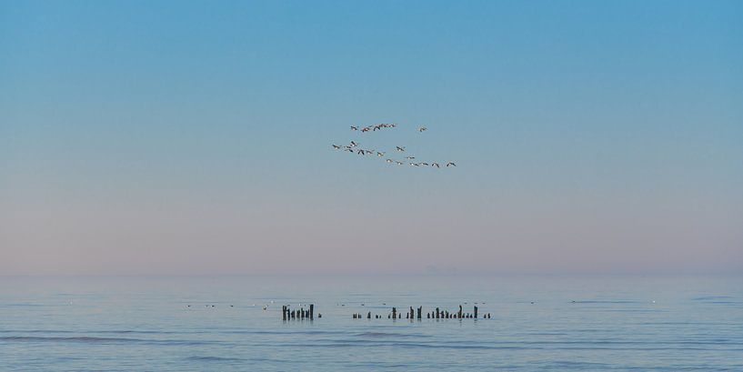 Het Wad bij Paesens Moddergat, Friesland, op een stille winterdag by Harrie Muis