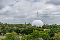 Sri Lanka; Island of Wonders