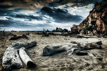 Drijfhout op het strand van Jürgen Wiesler