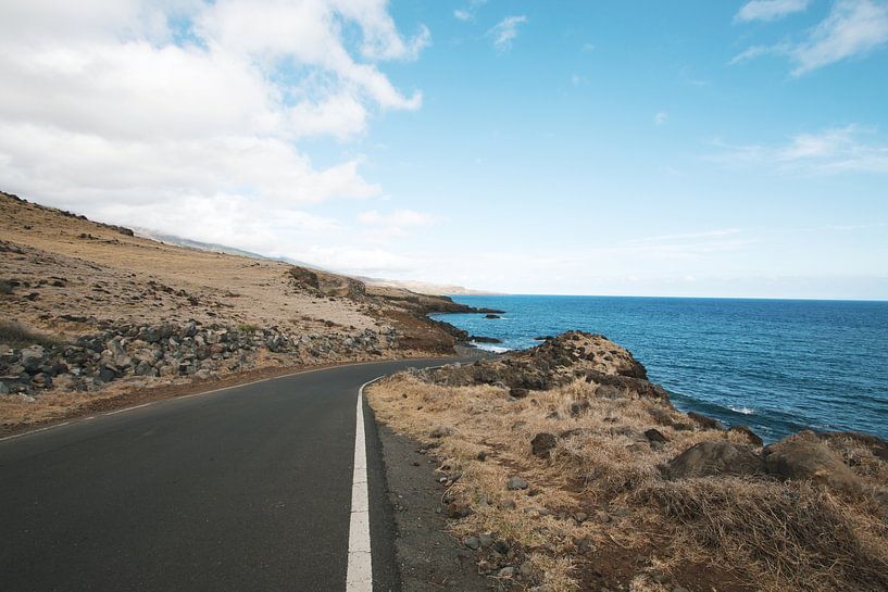 Autoreise Hawaii von Monique de Koning