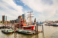 Hamburg City Port by Ursula Reins thumbnail