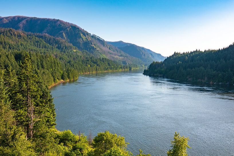 Columbia River van Tashina van Zwam