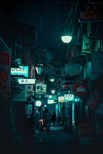 Night in the alleys of Golden Gai in Shinjuku by Mickéle Godderis