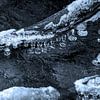 Eiszapfen am Ast im Bach | Taunus von Flatfield