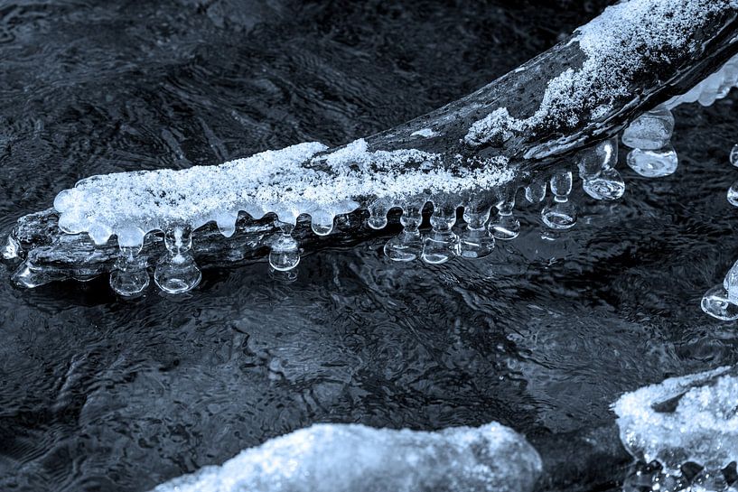 Icicle on a branch in a stream | Taunus by Flatfield