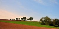Limburg hills.