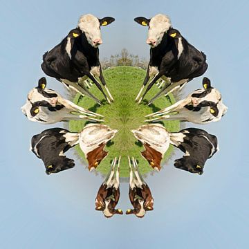 Hollandse koeien von Greet ten Have-Bloem