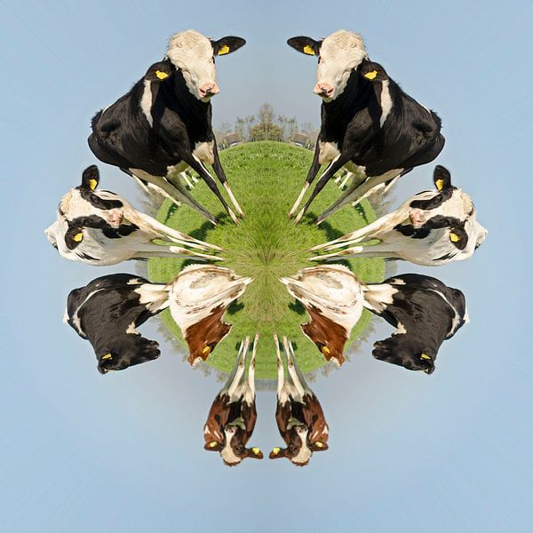 Hollandse koeien van Greet ten Have-Bloem