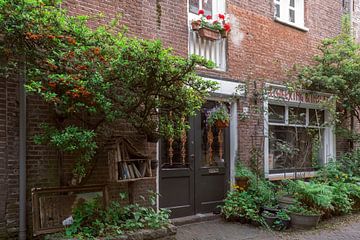 Haarlems alley I Nature in the city I Noord-Holland I Vintage photography by Floris Trapman