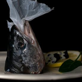 Chocked fish | deel 1 van Lidia Vedder