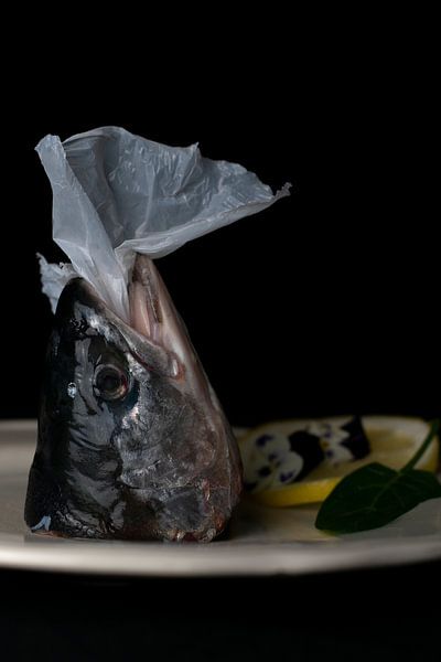 Gehackter Fisch | Teil 1 von Lidia Vedder