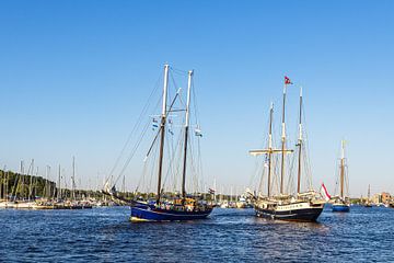 Zeilschepen op de Warnow tijdens de Hanse Sail in Rostock van Rico Ködder