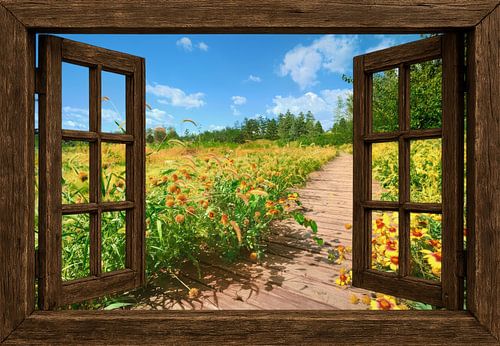 Bloemenveld met houten raamkader