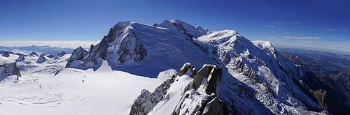 top van de berg blanc