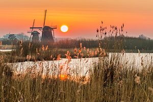 Zonsondergang Kinderdijk