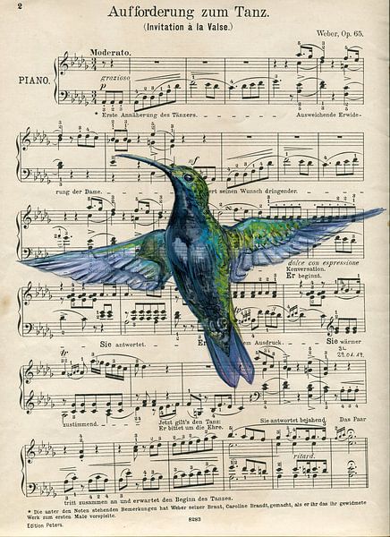 Hummingbird von sarah Loecker