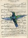 Hummingbird von sarah Loecker Miniaturansicht