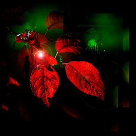 AUTUMN TIDE IN GREEN by Ted van den Aarssen