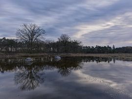 Sunrise at Dwingelderveld – Drenthe (Netherlands) by Marcel Kerdijk