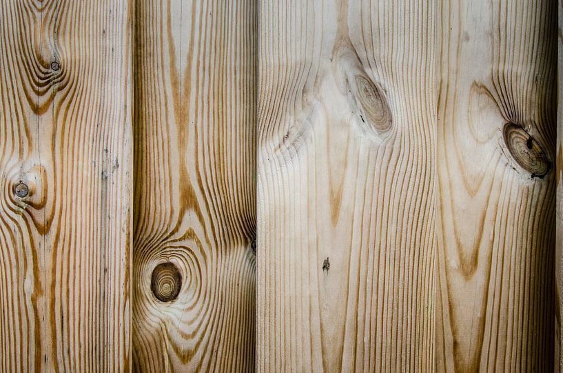 Knoestig hout van de schutting van Sven Wildschut