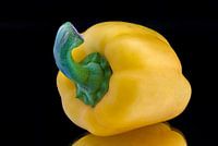 Paprika