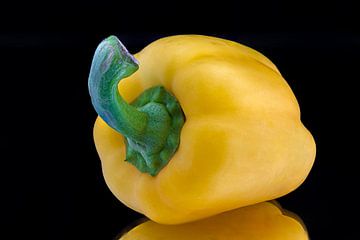 Paprika van Jack van der Spoel