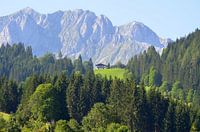 Mountain house in Austria/Mountain house in Austria/Mountain house in Österreich