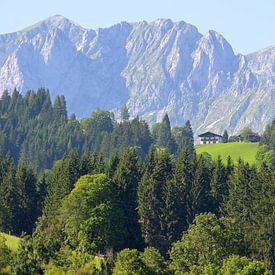 Berghuisje in Oostenrijk/ Mountain house in Austria/ Berghaus in Österreich van Joyce Derksen