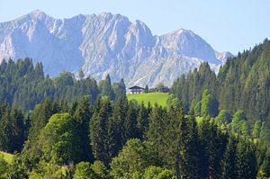 Berghuisje in Oostenrijk/ Mountain house in Austria/ Berghaus in Österreich
