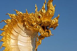 The Breath of the Naga in the Light