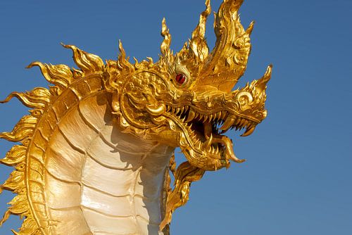 Der Atem des Naga im Licht von Walter G. Allgöwer