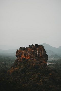 Löwenfelsen Sri Lanka von Sven Goedhart