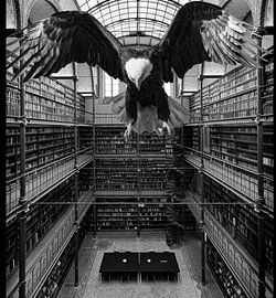 Eagle in the Rijksmuseum Library by Truckpowerr