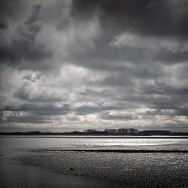 North Beveland mudflats and salt marshes by Rene  den Engelsman